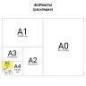 Тетрадь А5, 48 л., АЛЬТ, скоба, клетка, гибридный лак, "КЕДОМАНИЯ" (5 видов), 7-48-014